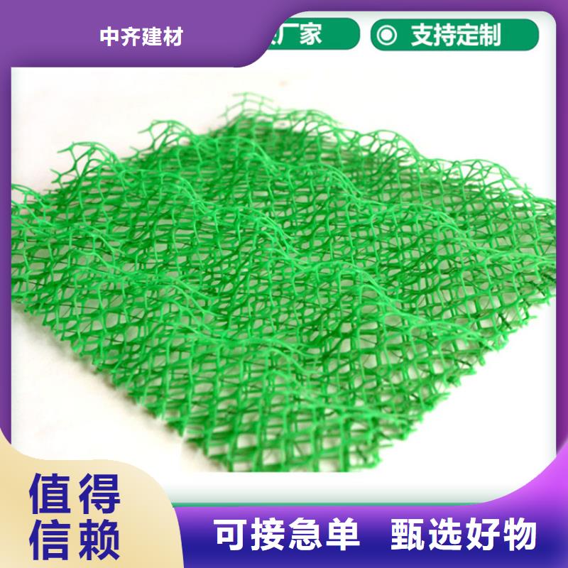 三维植被网排水板真诚合作