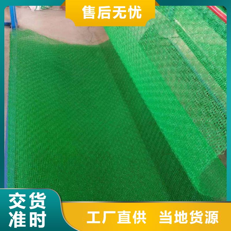 三维植被网HDPE土工膜一站式采购