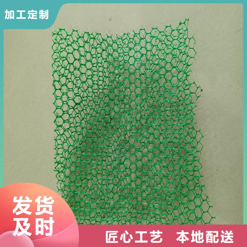 三维植被网土工材料老客户钟爱