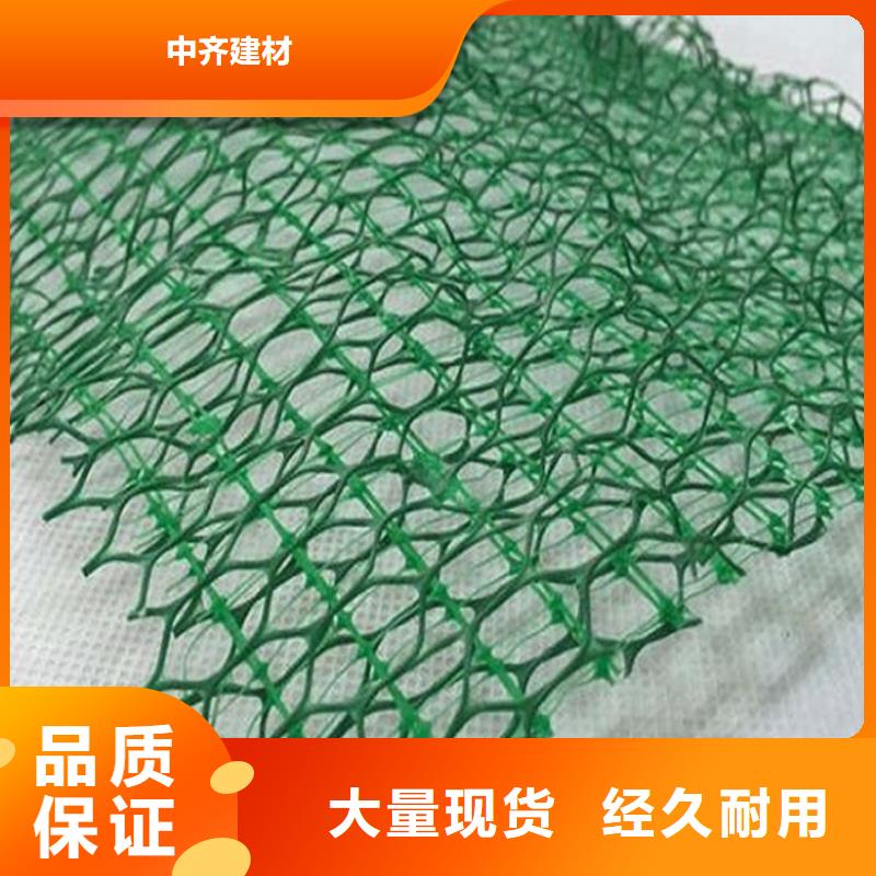 草皮边坡三维加筋土工网垫