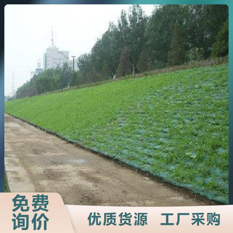 绿化环保三维护坡植被网垫