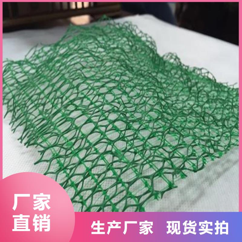 护坡加筋网垫-三维植被网垫质量保证