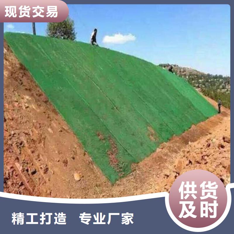 EM4绿化三维固土网垫