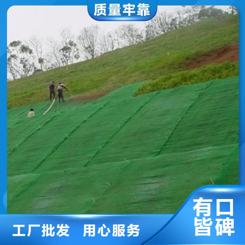 三维固土网垫-护坡三维土工网垫