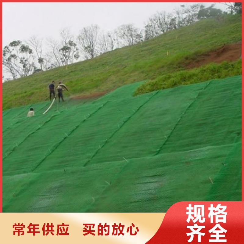 三维土工网垫-护坡三维植被网