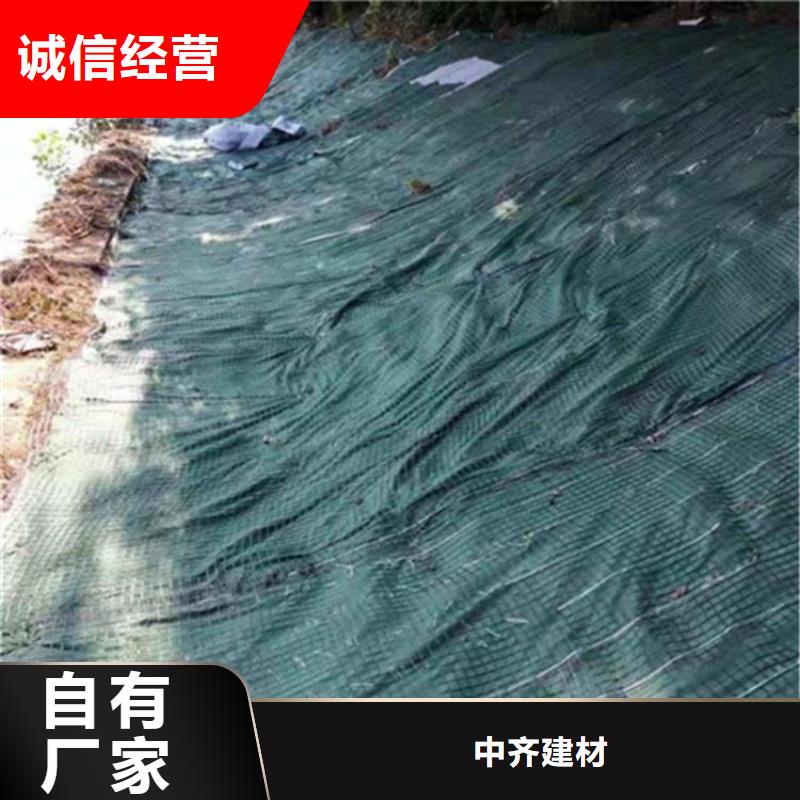 椰丝毯双向土工格栅匠心打造