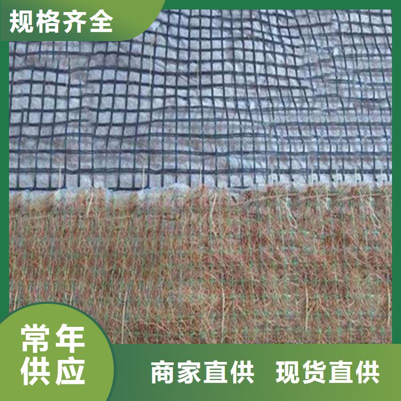 植生椰丝毯-加筋生态毯