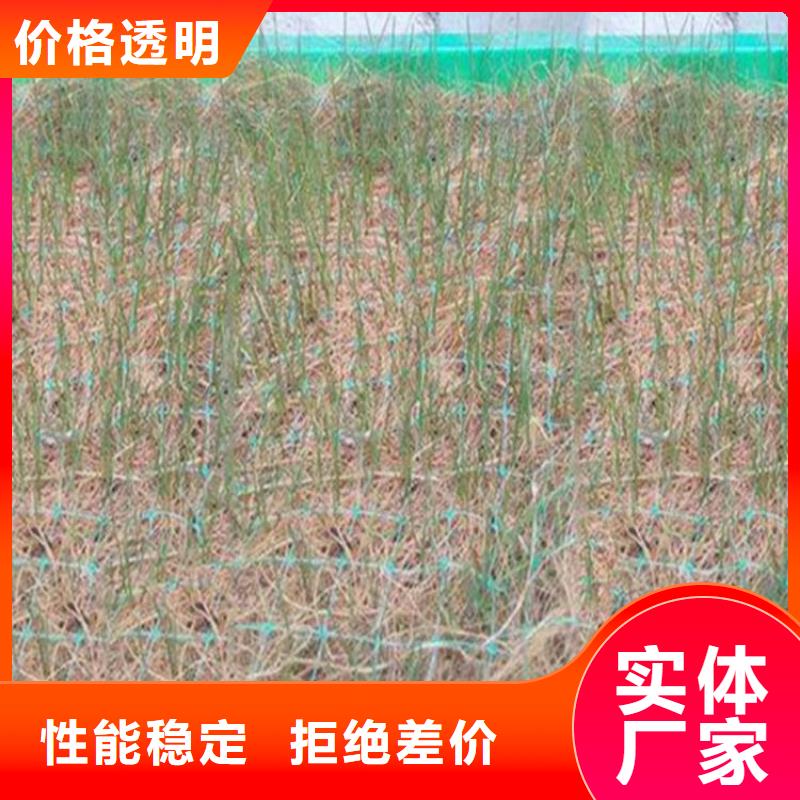 椰丝毯-【HDPE土工膜】分类和特点-市场覆盖|苍溪|元坝|南充|眉山|阿坝|德阳-云商赢企