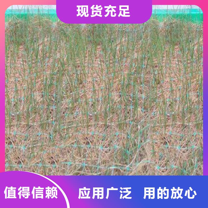 植生椰丝毯-PP加筋椰丝毯-绿化植被垫