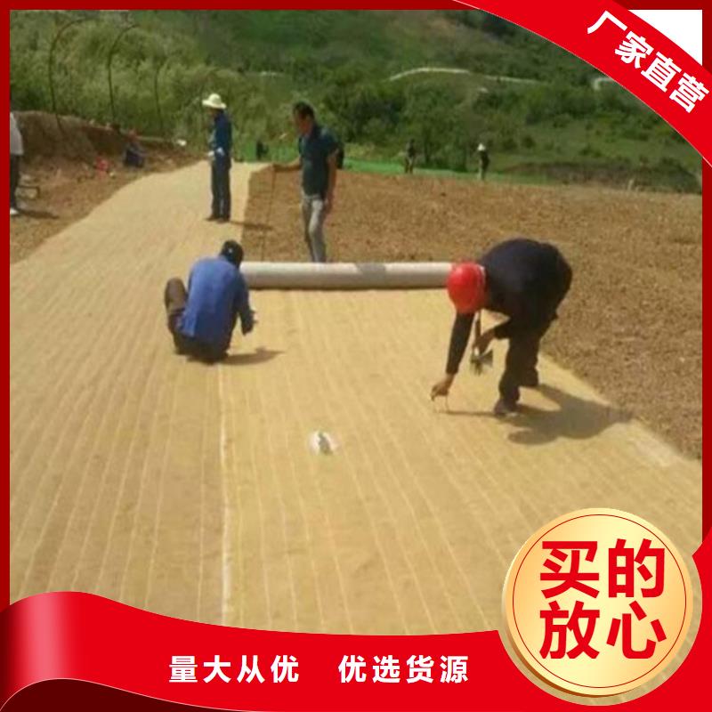 植生椰丝毯本地厂家/多少钱一平