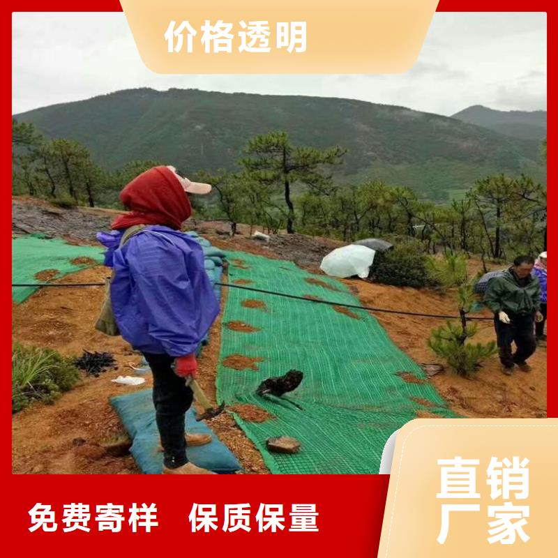 生态环保草毯-植物纤维毯-植物生态垫