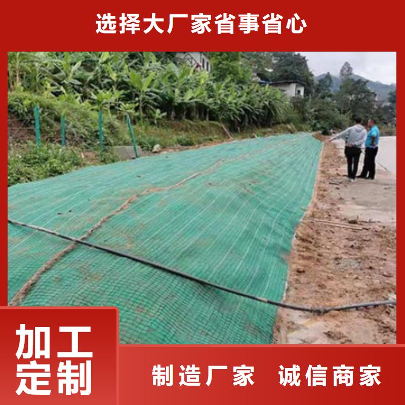椰丝毯双向土工格栅匠心打造