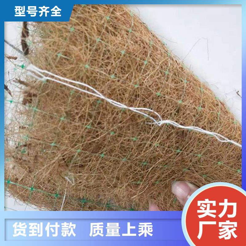 植物生态防护毯-护坡植被植草毯-植草绿化毯