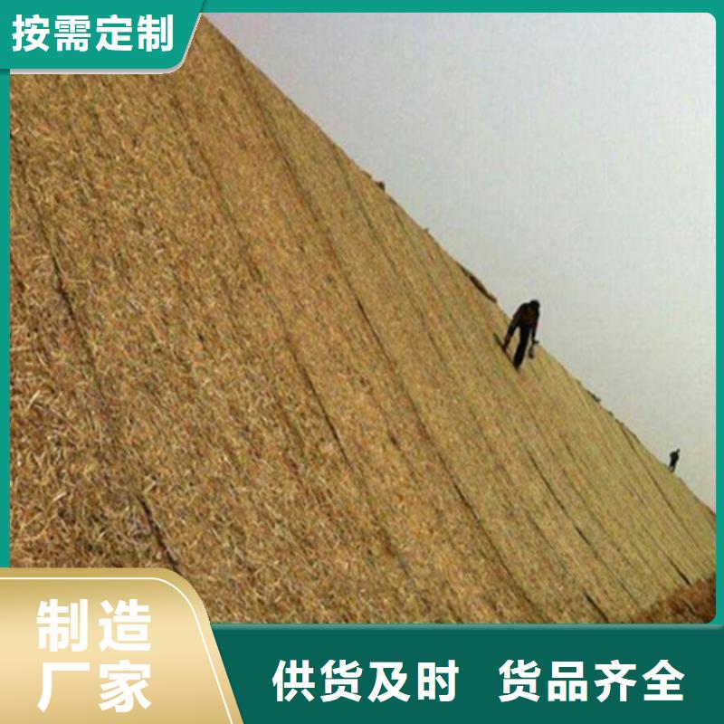 固土椰丝毯厂家-地址