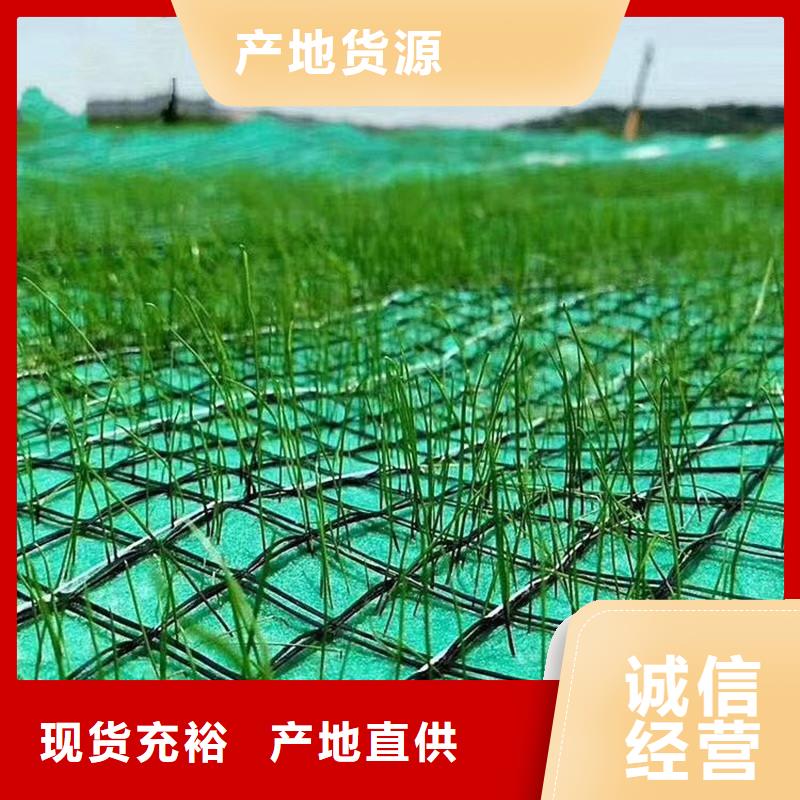 椰纤植生毯-加筋抗冲生物毯价格合理