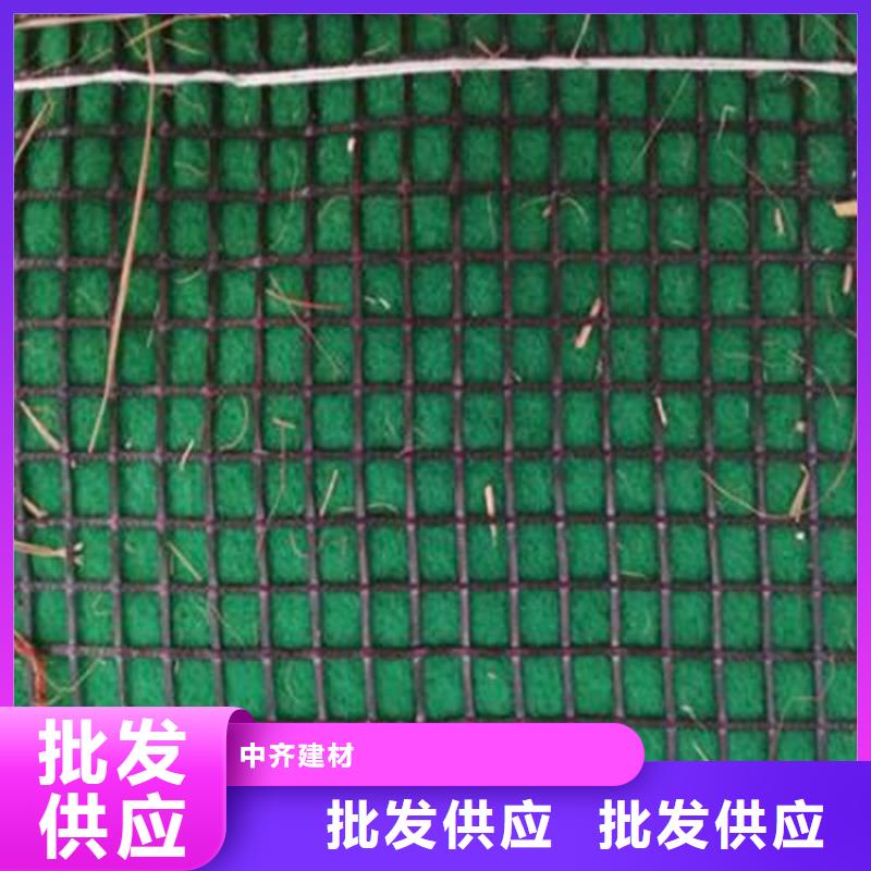 椰丝毯双向土工格栅匠心打造