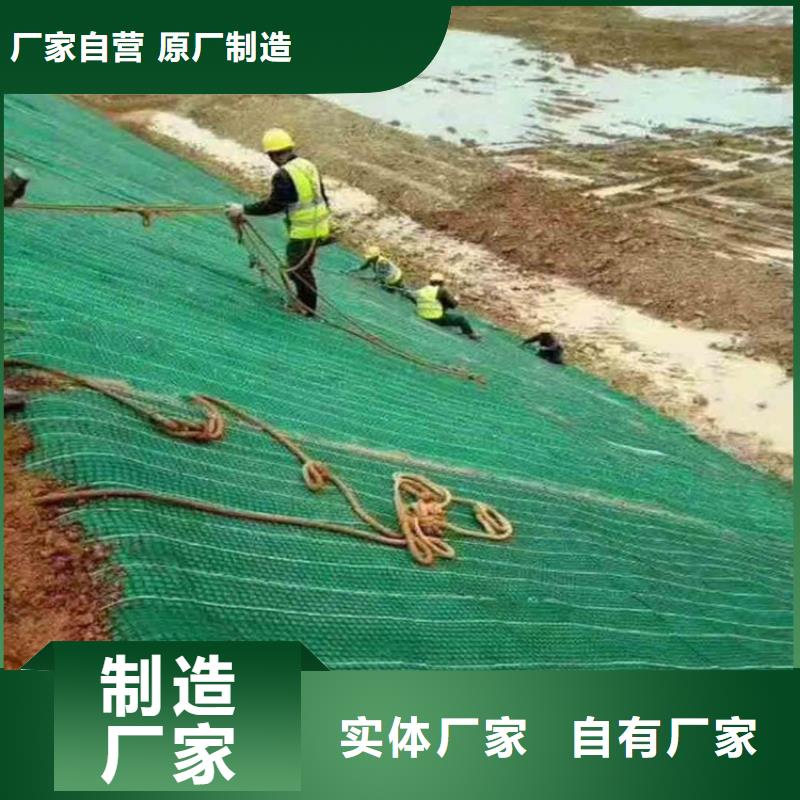 椰丝毯,土工网垫产品实拍
