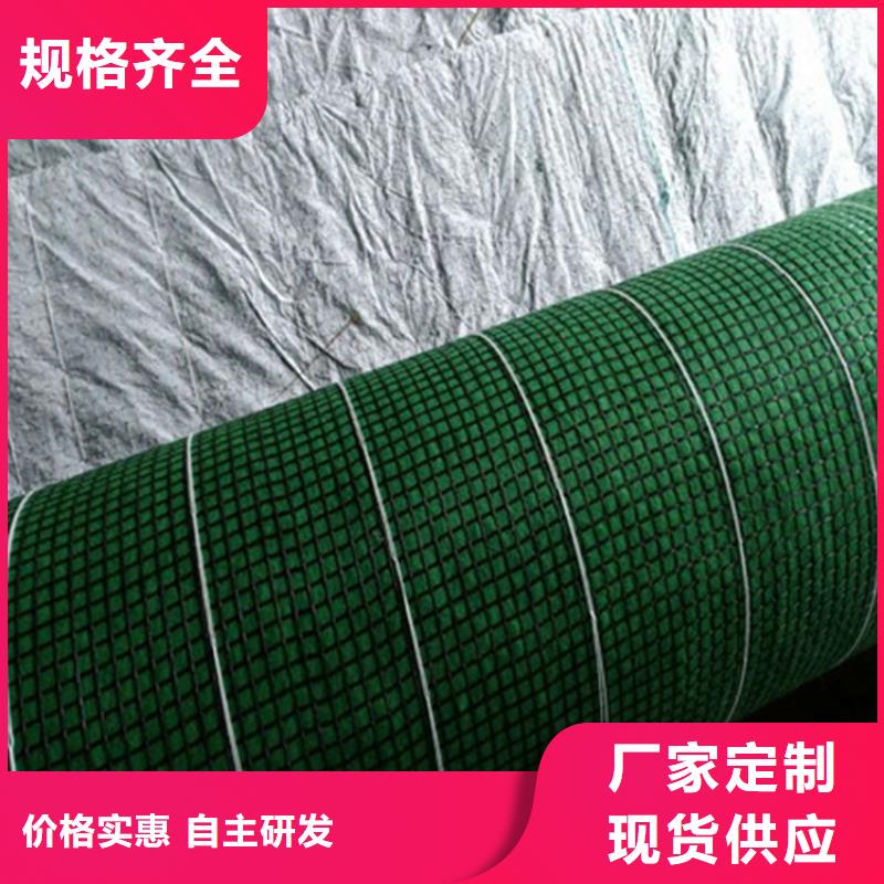 加筋抗冲生态毯