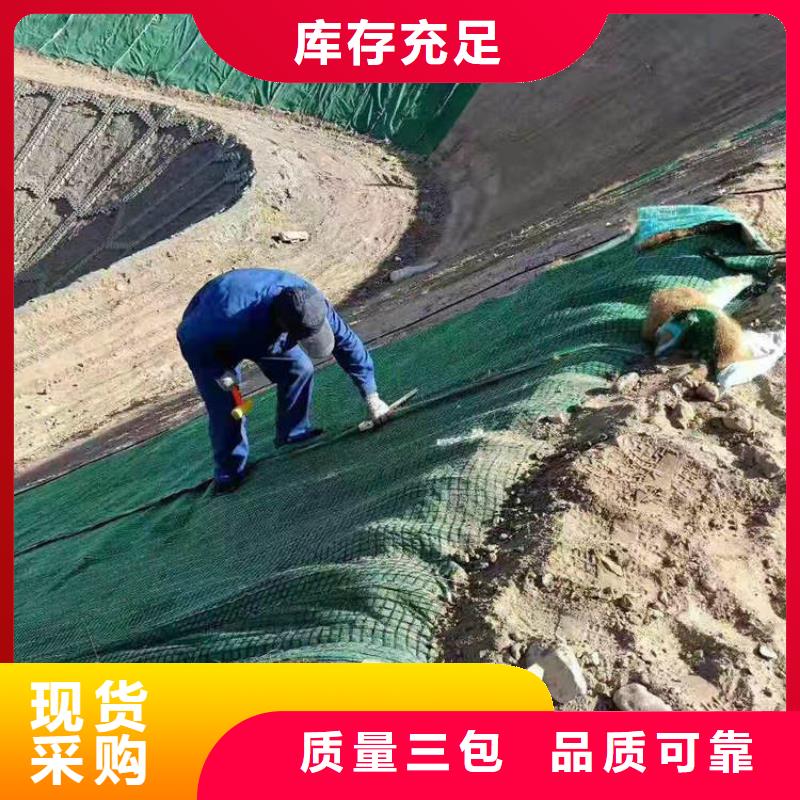 椰纤植生毯水保椰丝毯