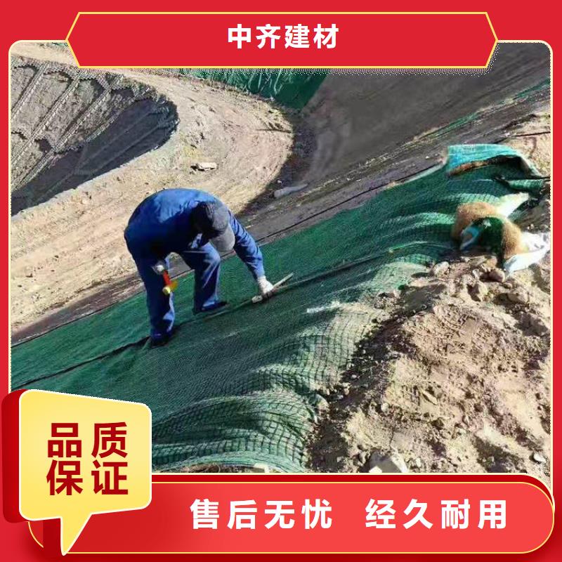 边坡植物防护毯代理批发/哪里有卖的