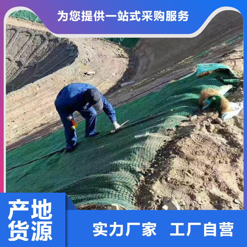 植生椰丝毯-植物纤维毯-公路植生毯