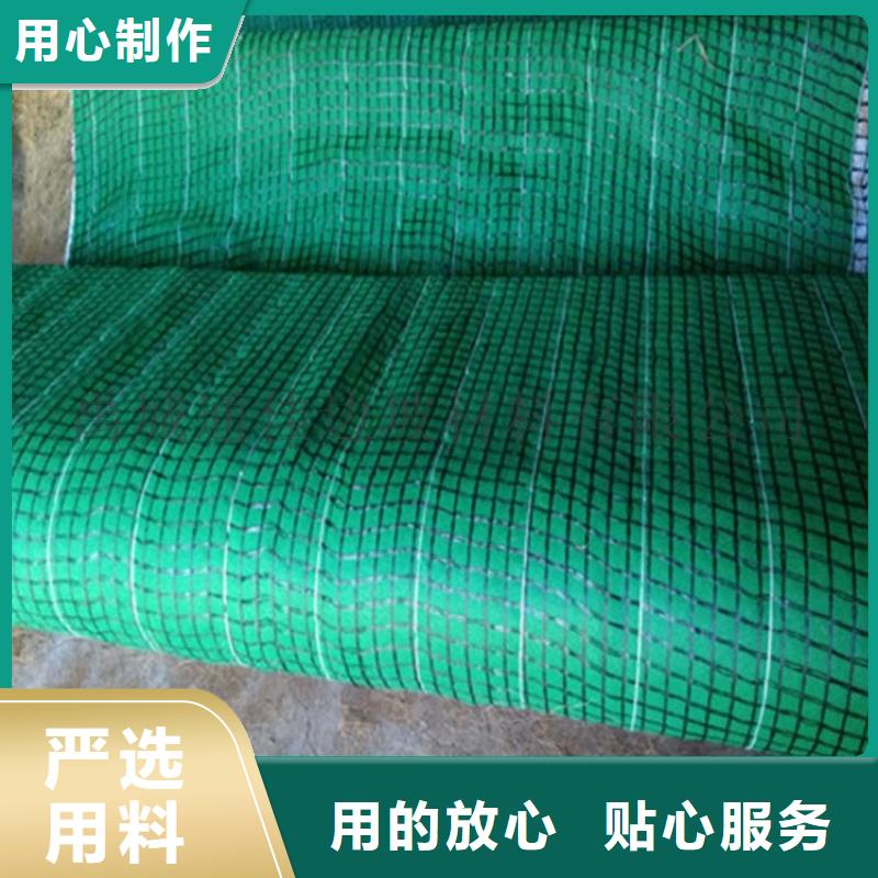 椰纤植生毯-护坡植被植草毯规格结构