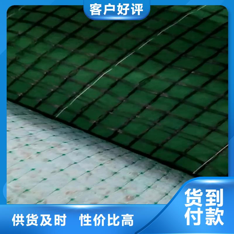 椰纤植生毯-生态环保草毯厂家-售后完善