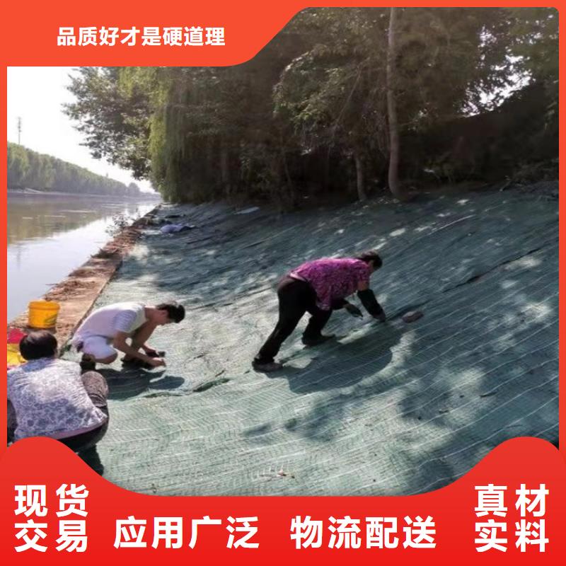 椰纤植生毯-生态环保草毯