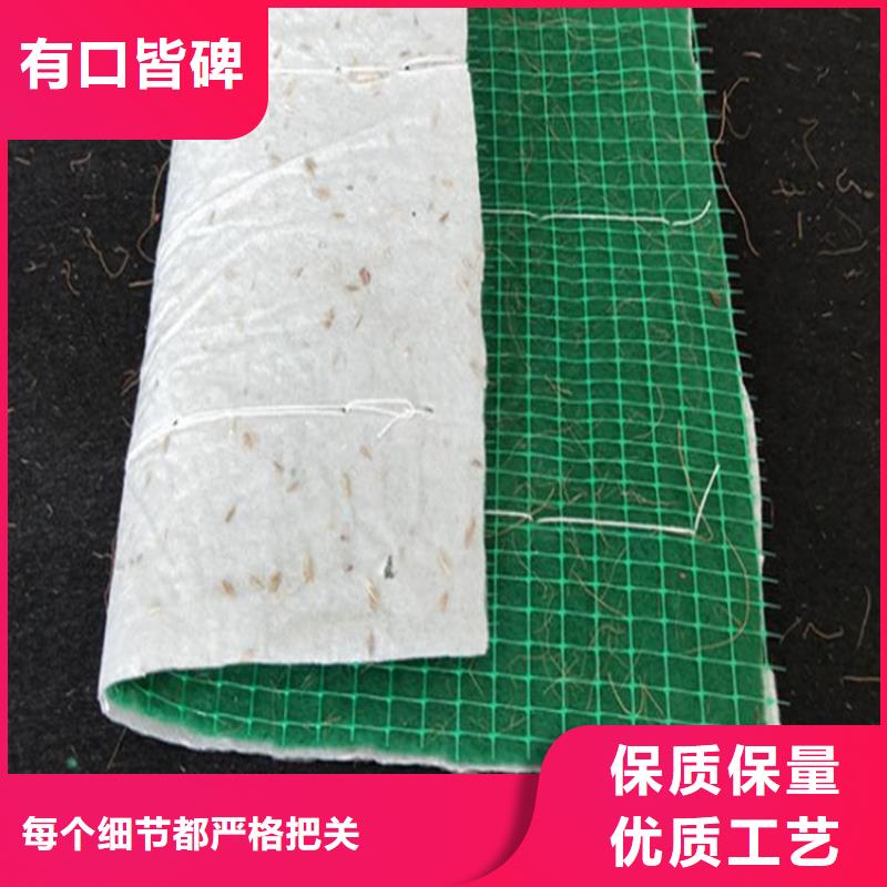 植生椰丝毯-椰纤植生毯