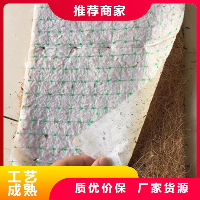 椰丝毯塑料盲沟严选用料