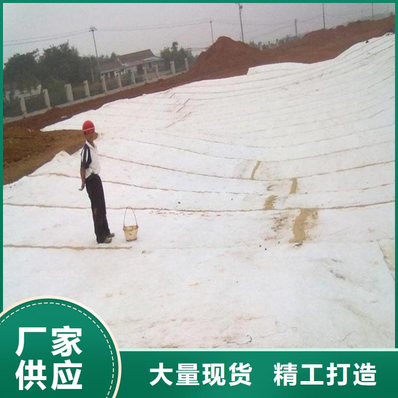 膨润土防水毯HDPE土工膜种类齐全
