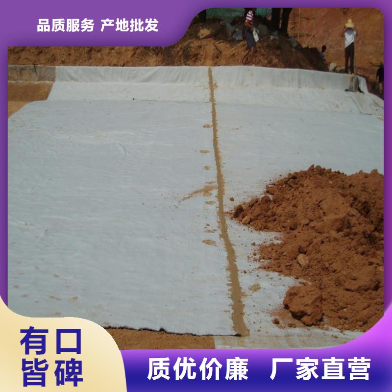 膨润土防水毯土工膜经验丰富质量放心