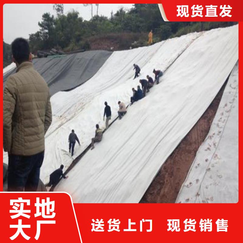 【膨润土防水毯】_土工布送货上门-中齐建材(益阳市分公司)