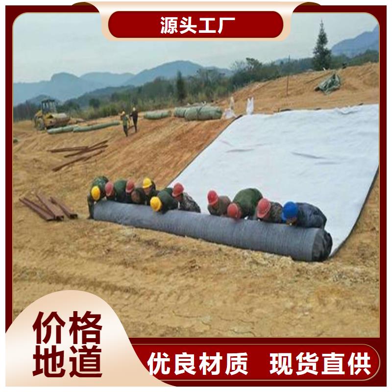 膨润土防水毯拉筋带批发供应
