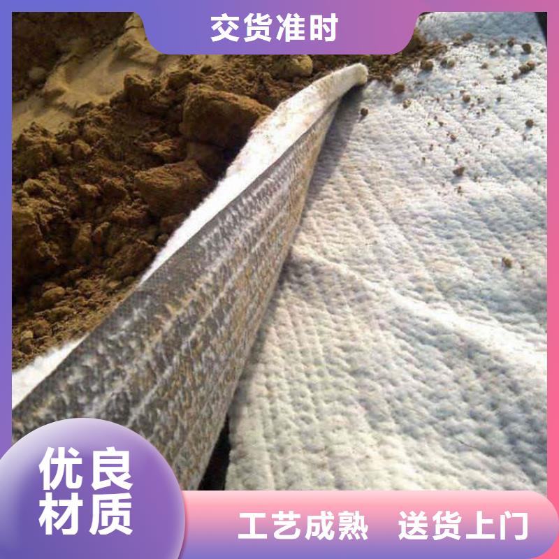 膨润土防水毯土工格栅实力厂家