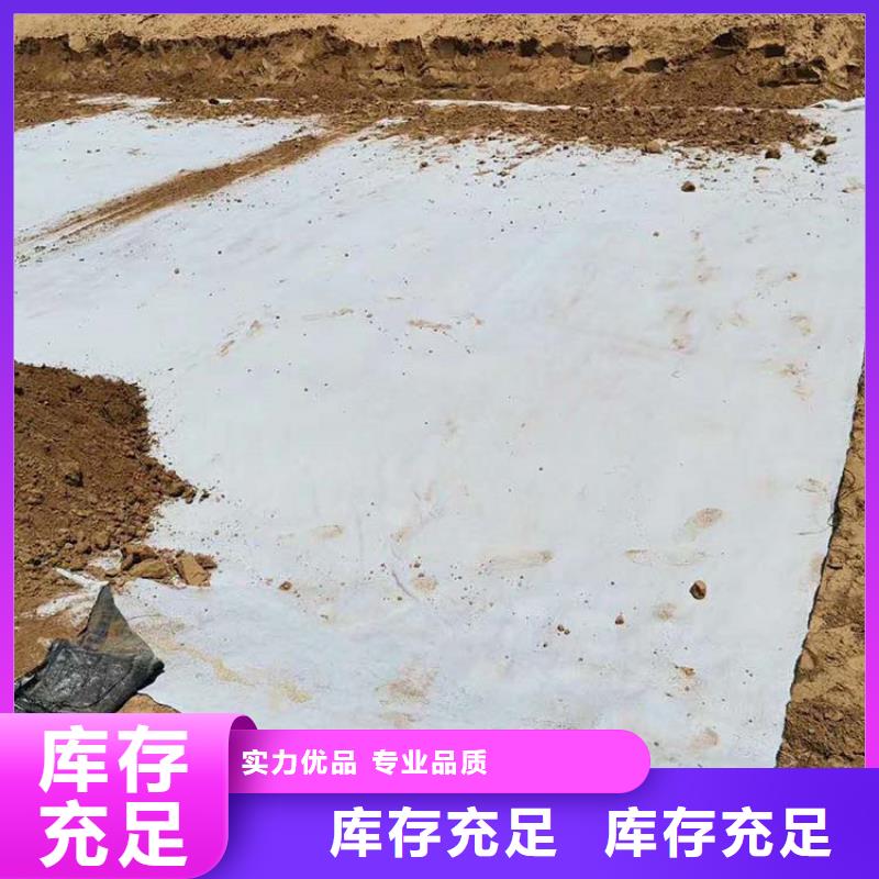 膨润土防水毯植草格厂家供应