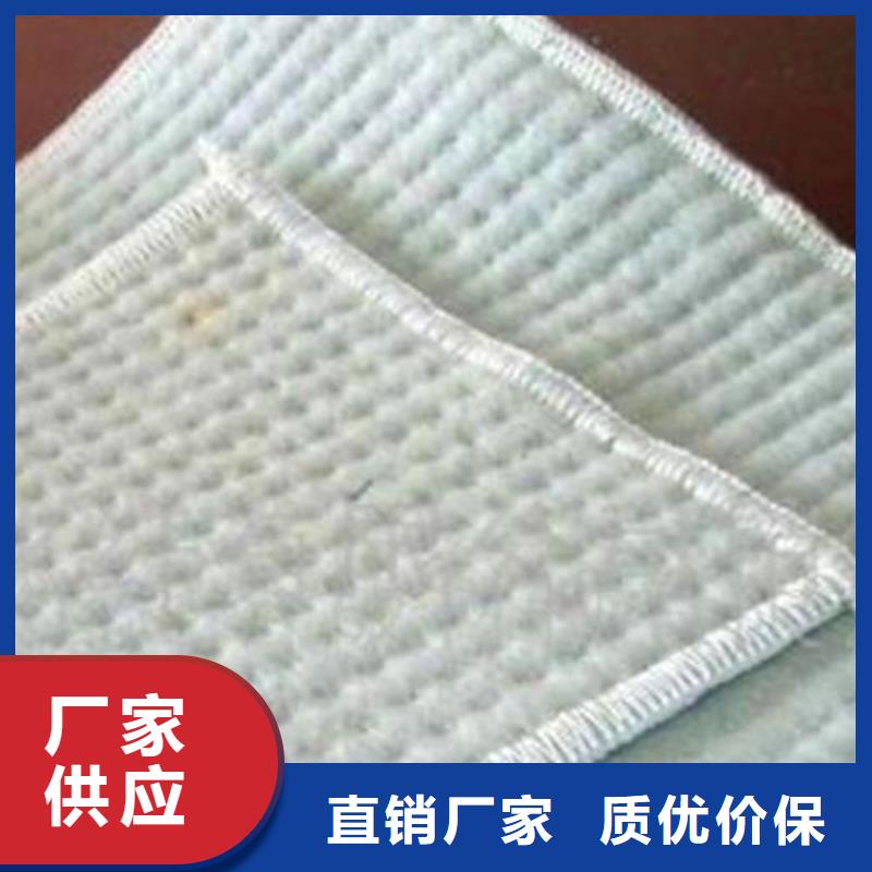 膨润土防水毯土工格栅实力厂家