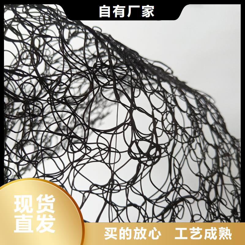 通风降噪丝网钢塑土工格栅多种工艺
