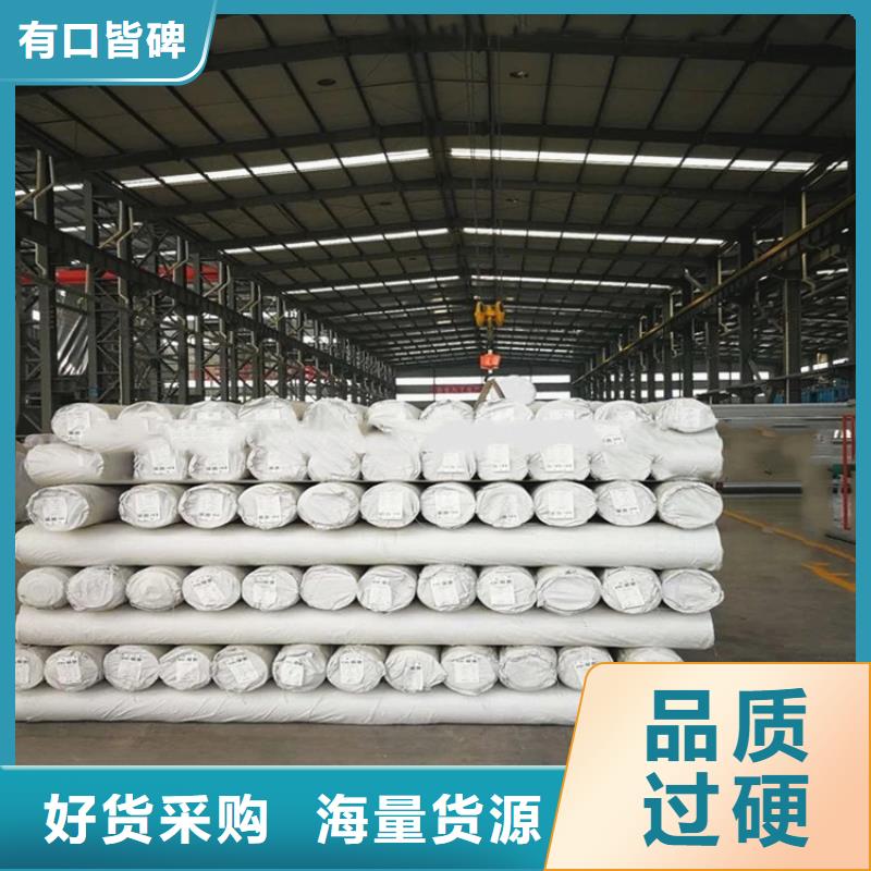 防水板HDPE土工膜支持加工定制