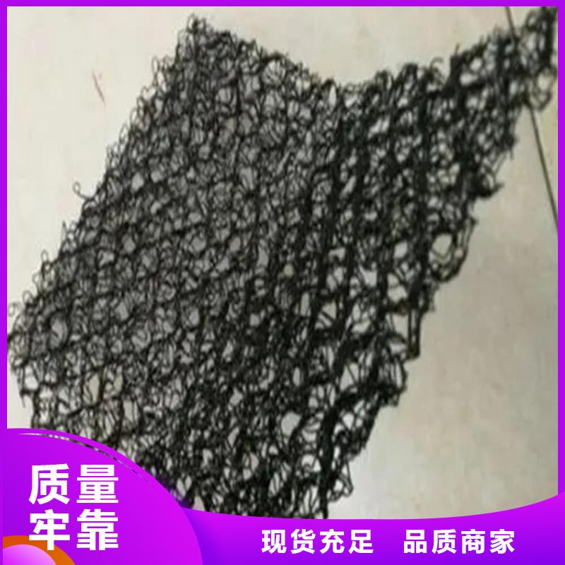 水土保护毯土工格栅精品选购