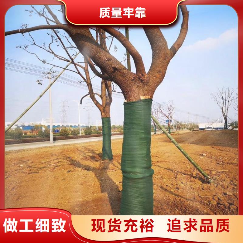 裹树布_防水板实体厂家