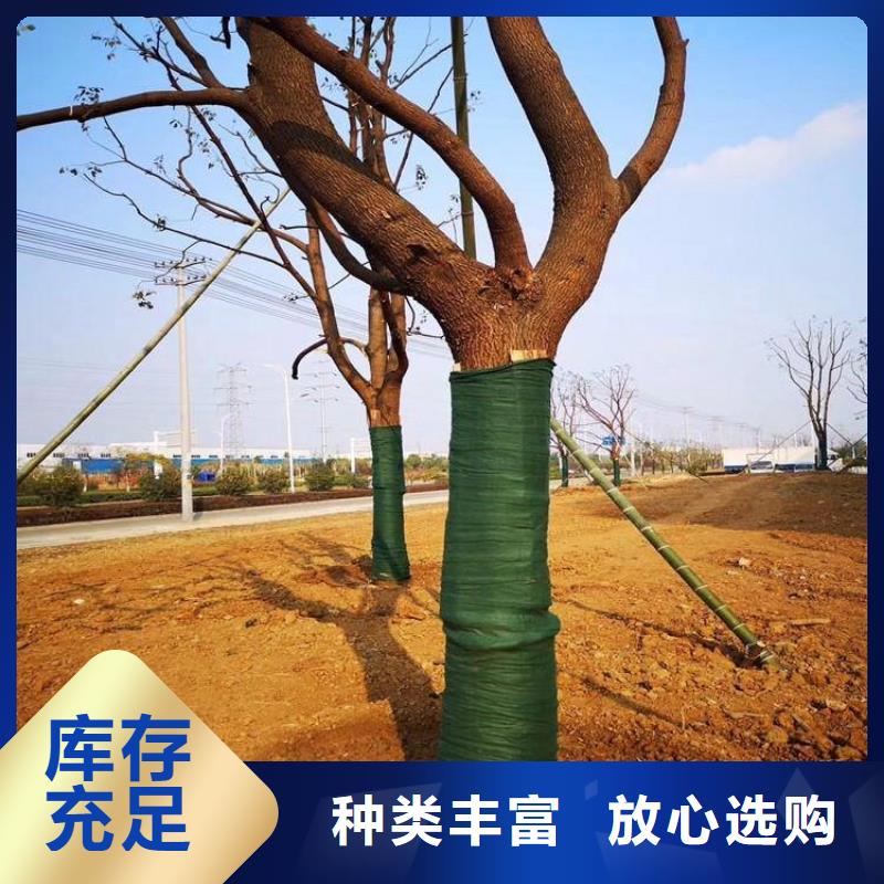 裹树布抗裂贴产地直销