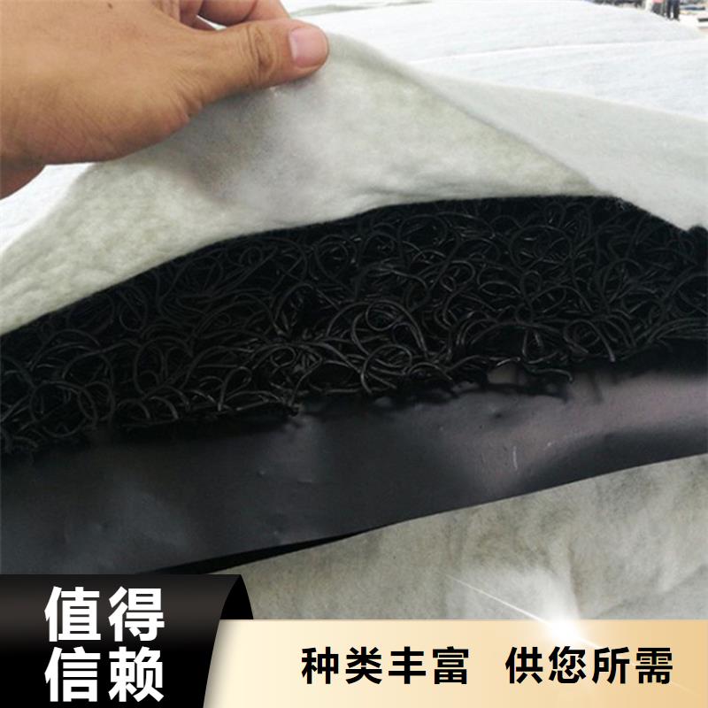 土工席垫【土工膜】今年新款