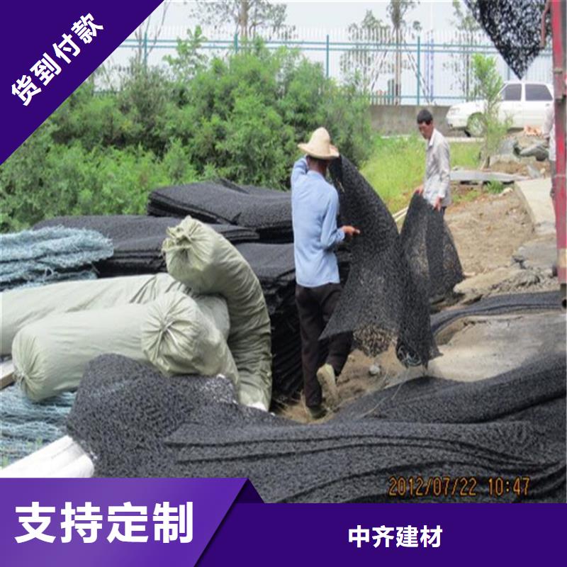 土工席垫,三维植被网做工细致