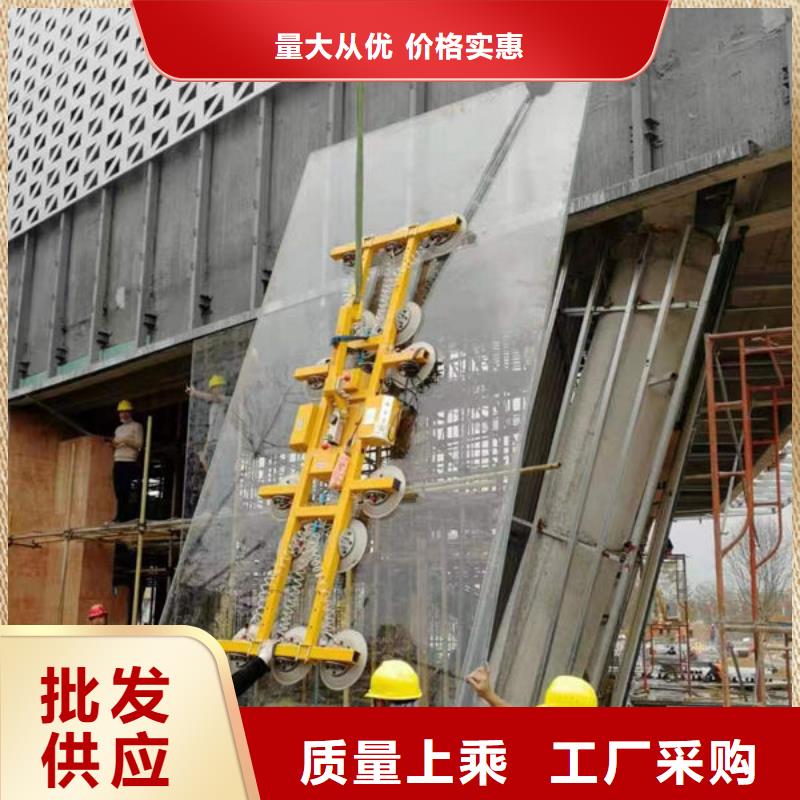 福建省宁德市1T电动玻璃吸盘支持定制