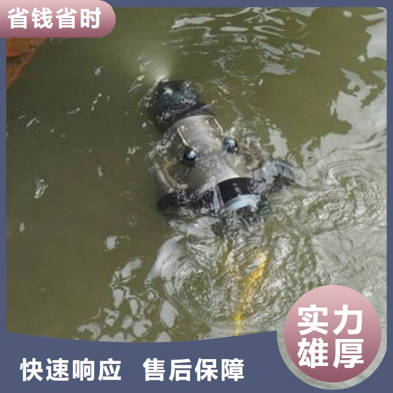 重庆市沙坪坝区






鱼塘打捞溺水者

打捞公司