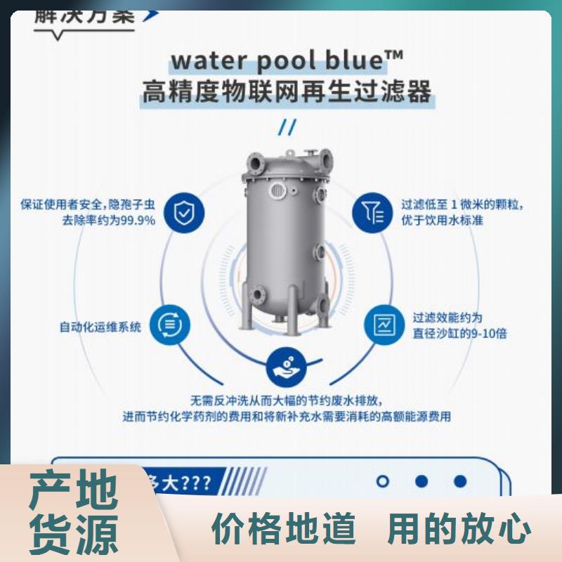 半标泳池珍珠岩循环再生水处理器
