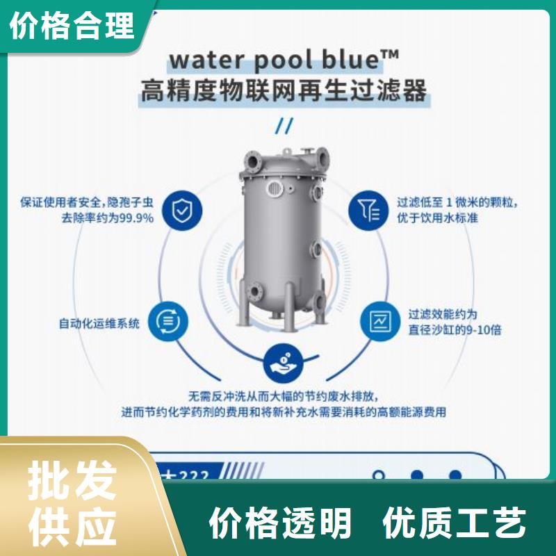 半标泳池珍珠岩循环再生水处理器