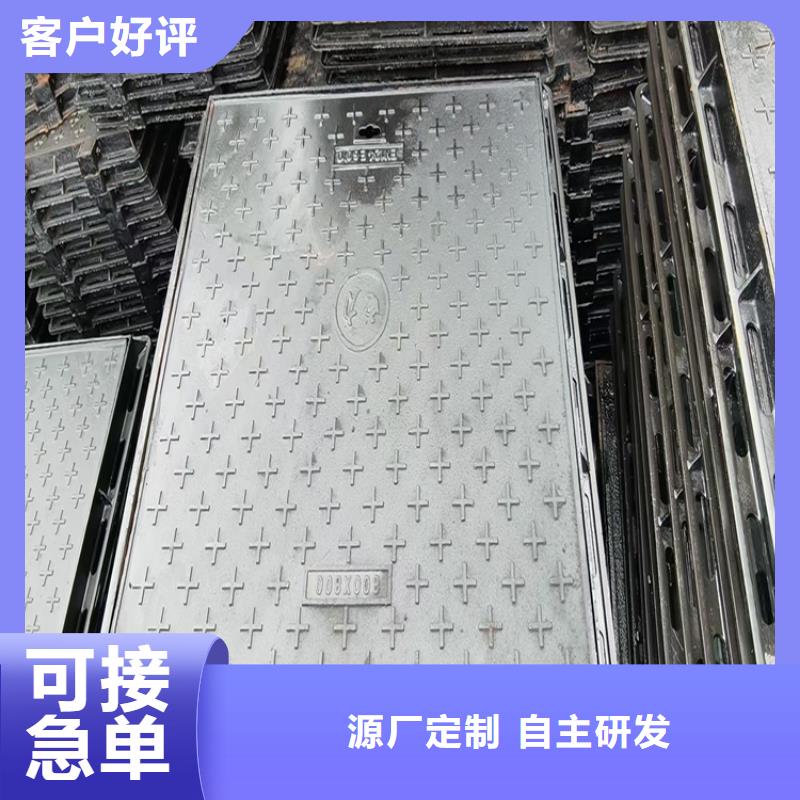 桂城街道防尘降球墨铸铁井盖700*900厂家直供