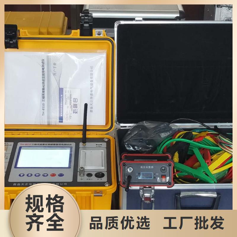 TH-天正型氧化锌避雷器测试仪欢迎咨询订购